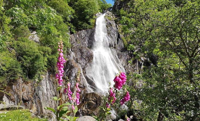 Rhaeadr Fawr waterfall (Aber Falls), Coedydd Aber National Nature Reserve